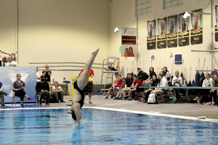 FHS senior Hailey Newill performs a dive at the Jan. 11 swim triangular. Photo by Heather Smith