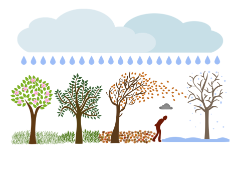 The science behind seasonal depression
