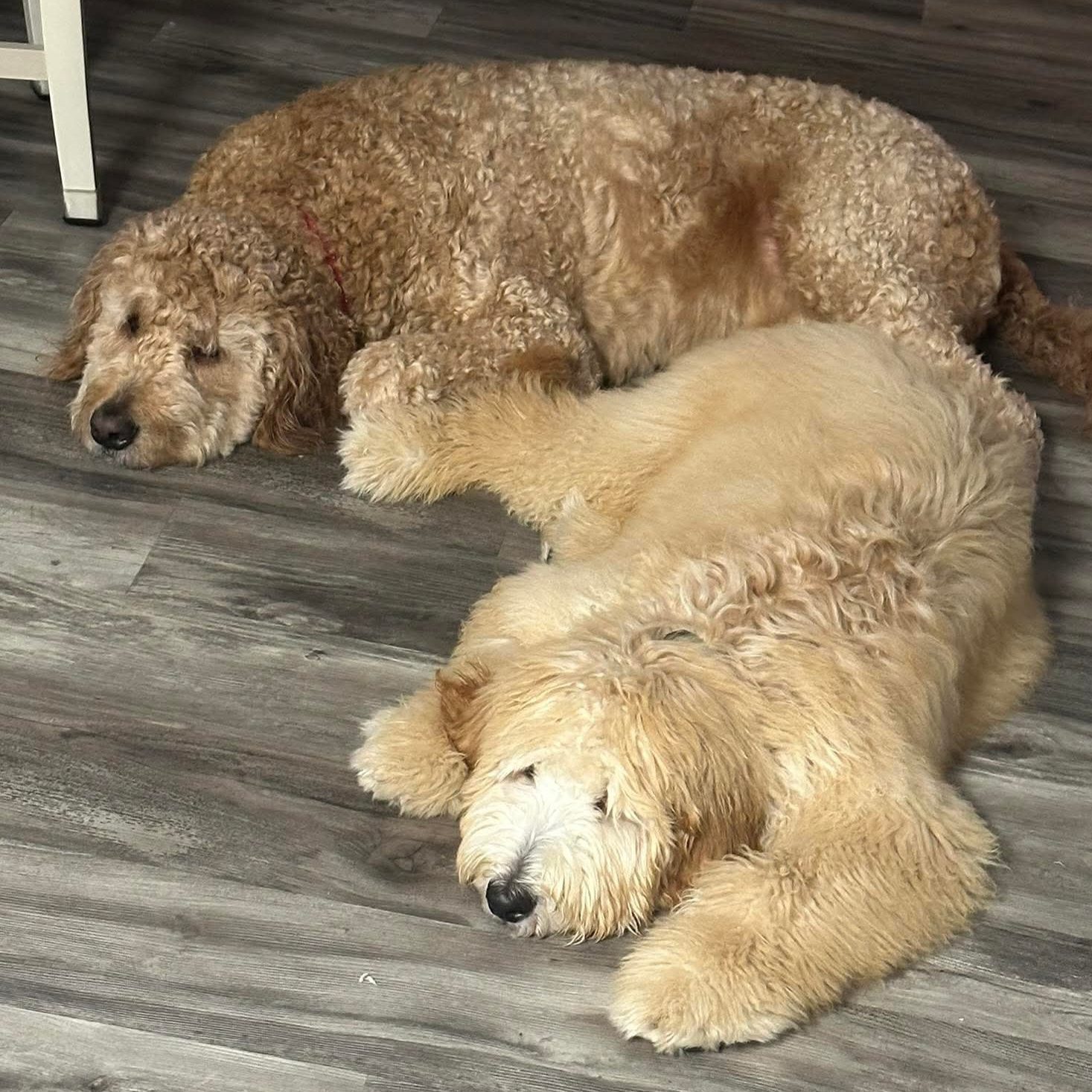 Cooper & Parker
