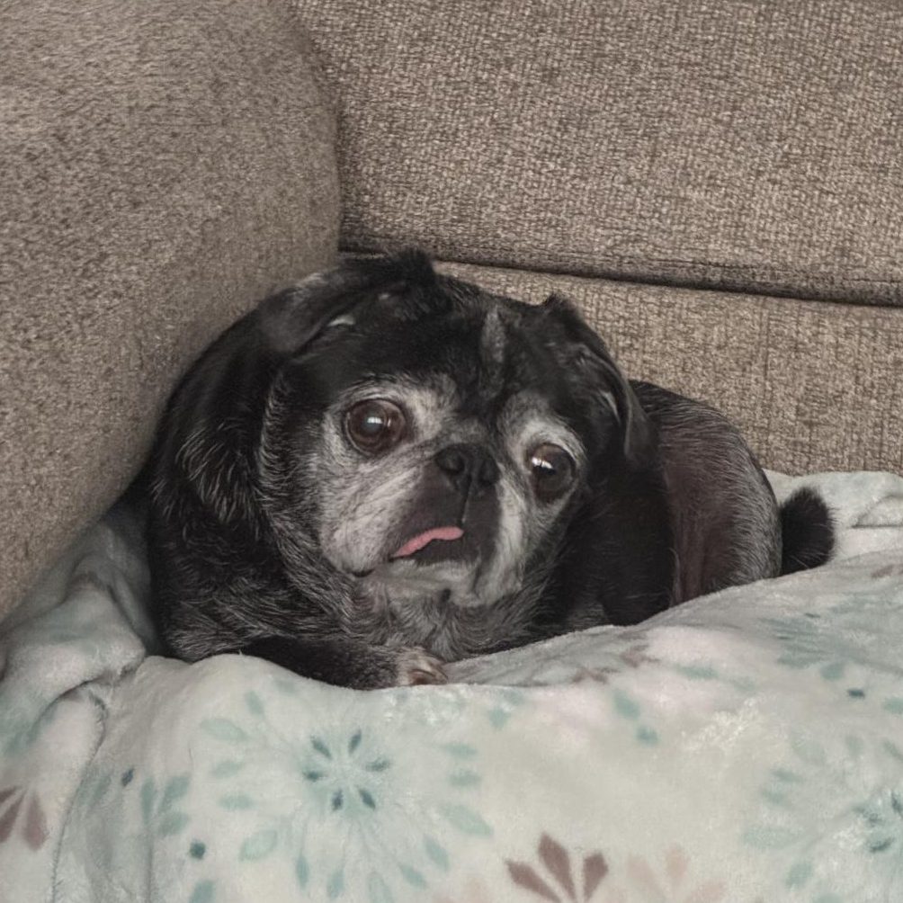 Rosie