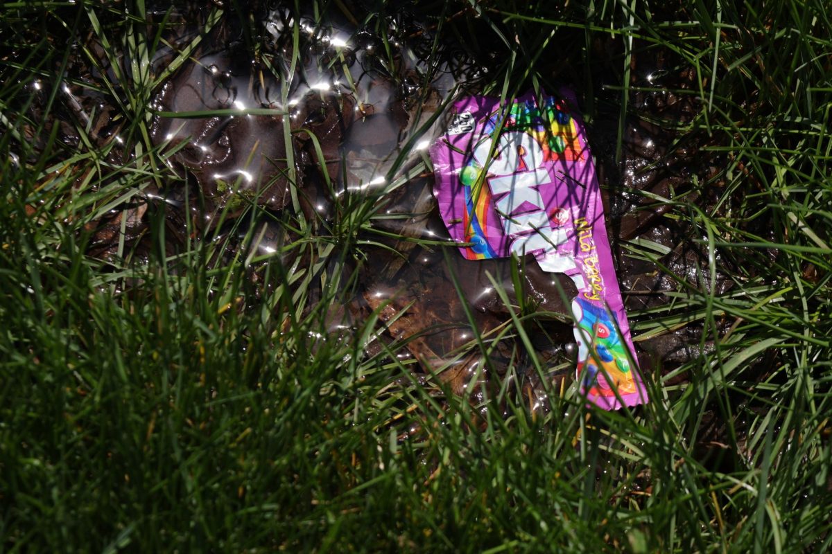 A discarded Skittles wrapper litters the high school lawn, adding to the growing problem of everyday waste.