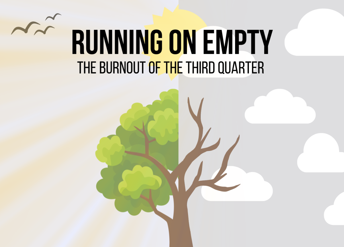 Graphic designed and created by Ava Placek using Canva for Education