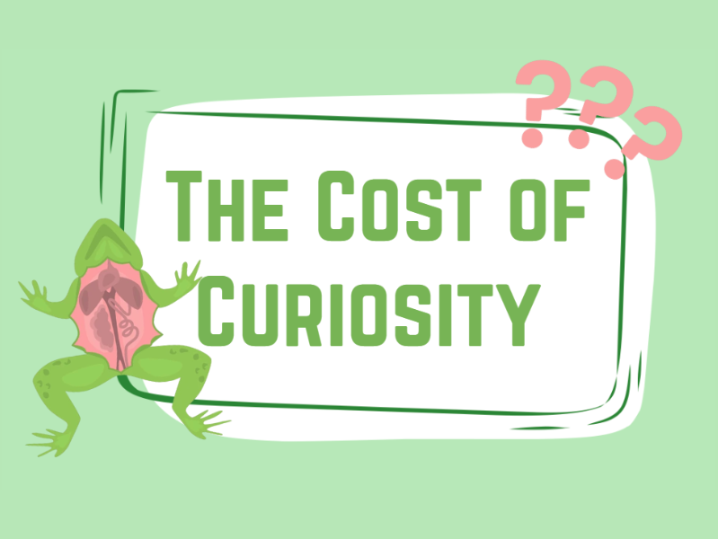 Graphic designed and created by Maleya Aldrich using Canva for Education