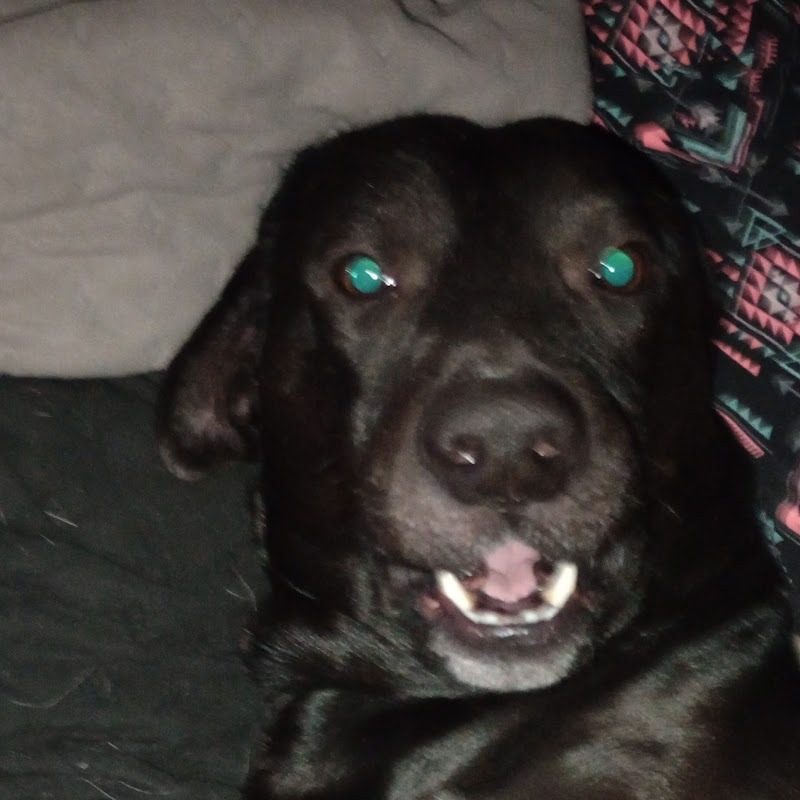 Fang