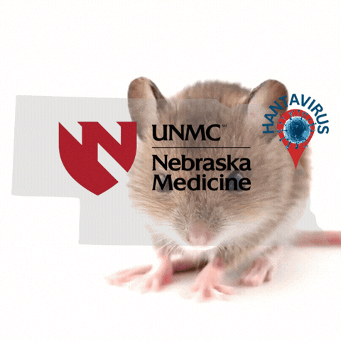 Graphic illustration created with Canva for Education; UNMC logo courtesy of the University of Nebraska Medical Center.