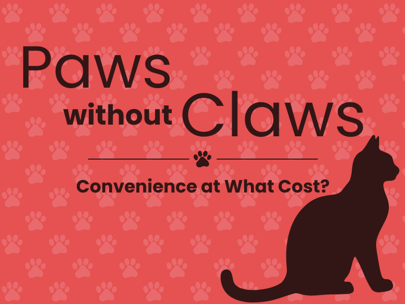 Designed by Meleya Aldrich via Canva for Education